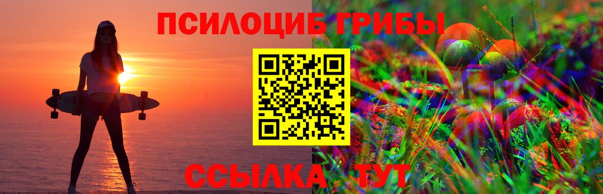 Галлюциногенные грибы Magic Shrooms  Галлюциногенные грибы ЛСД  Вход с VPN  Скопин 