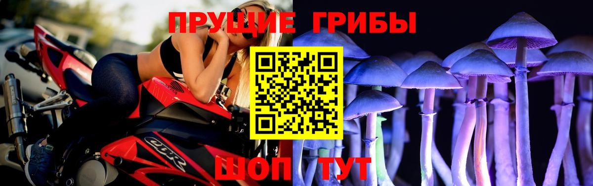Псилоцибиновые грибы ЛСД Скопин