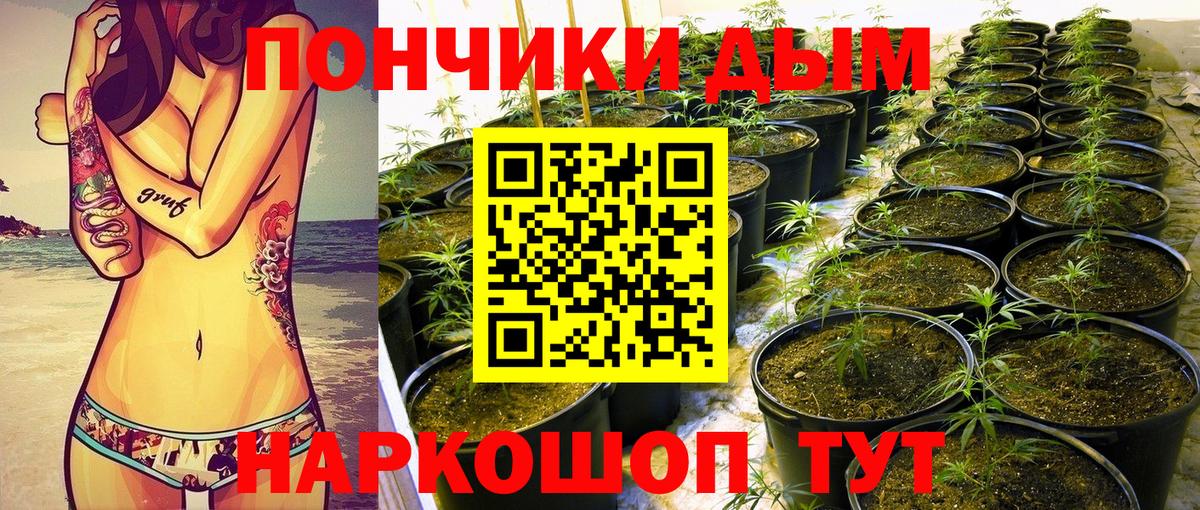 Бошки марихуана марихуана Скопин